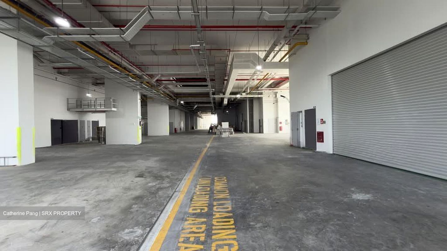 Ct Foodnex (D25), Factory #558443071